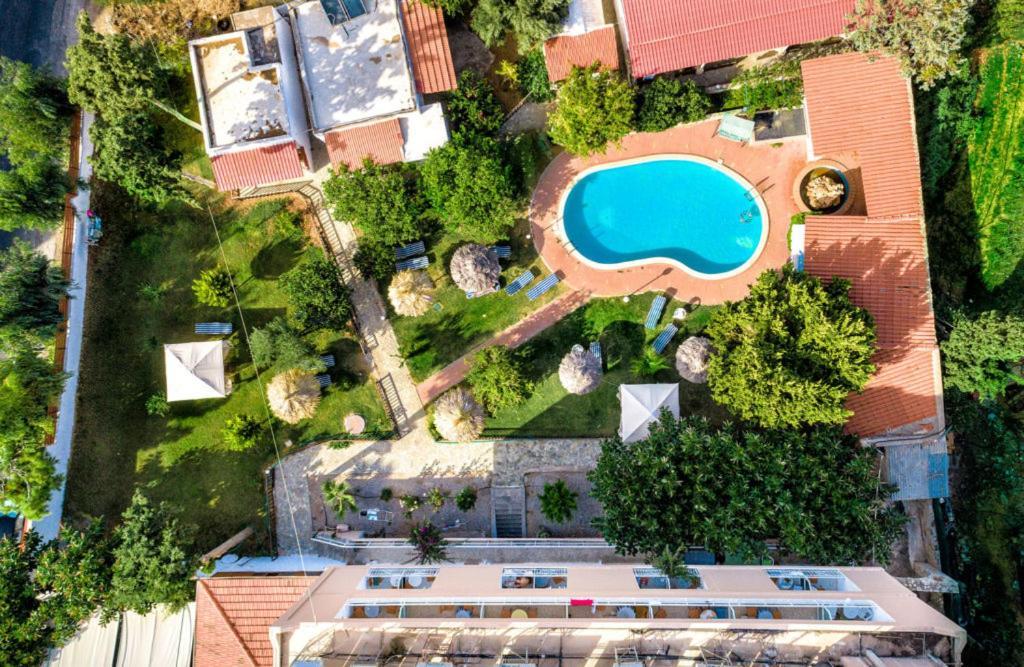Harmony Hotel & Studio Μάλια Εξωτερικό φωτογραφία
