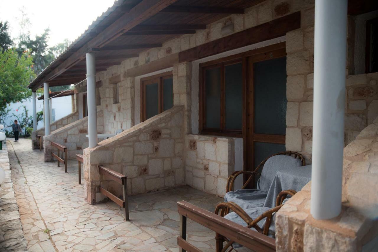 Harmony Hotel & Studio Μάλια Εξωτερικό φωτογραφία